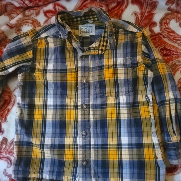 The Children's Place Other - The Children's Place 4t button down